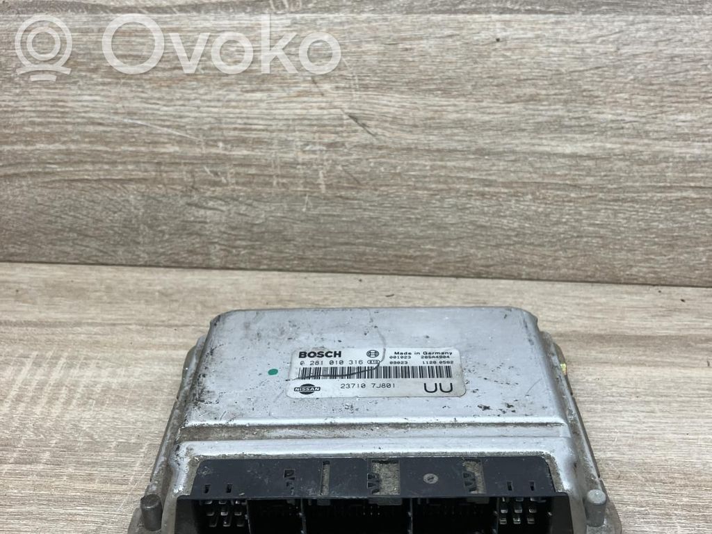 Nissan Primera Engine control unit/module 
