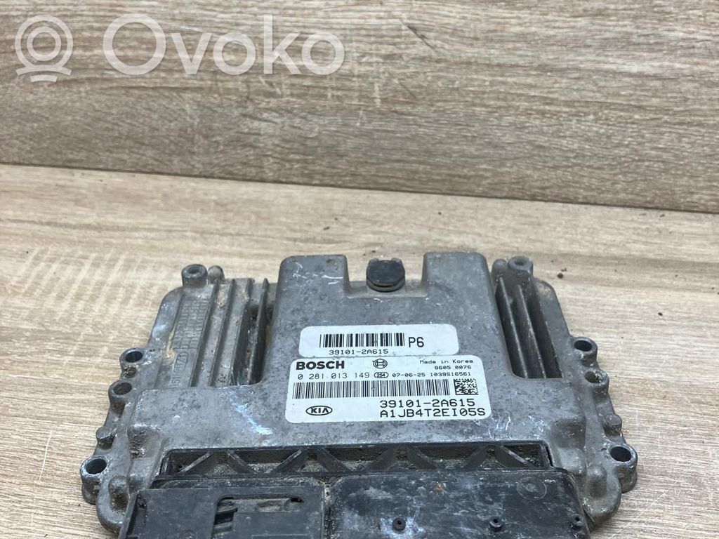 Engine control unit/module   391012A615,0281013149