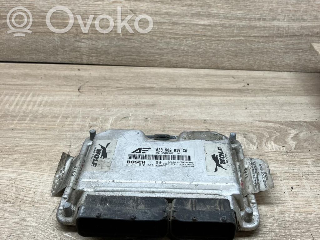 Engine control unit/module   038906019CA,0281010309