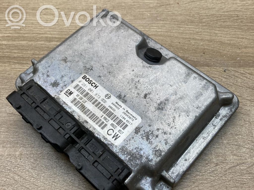Engine control unit/module ECU   09136118,0281001873