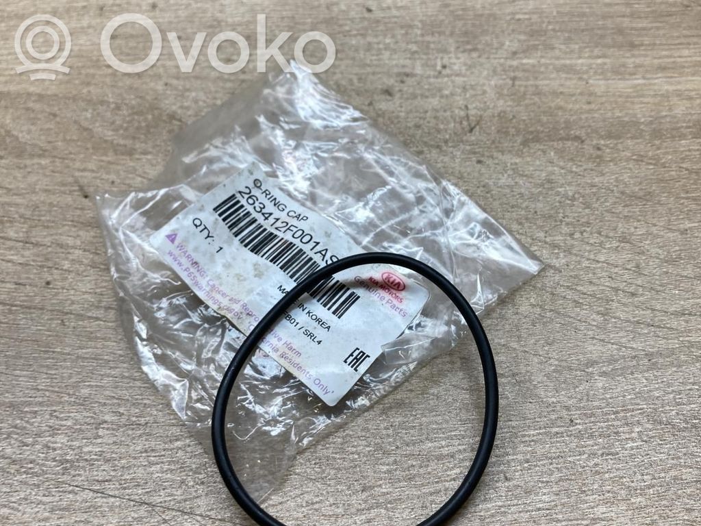 KIA Sportage Oil filter cover 
