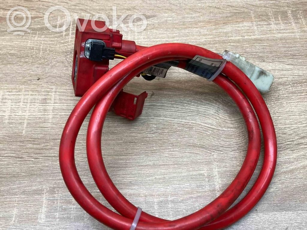 Cable positivo (batería)   6989781,6989782