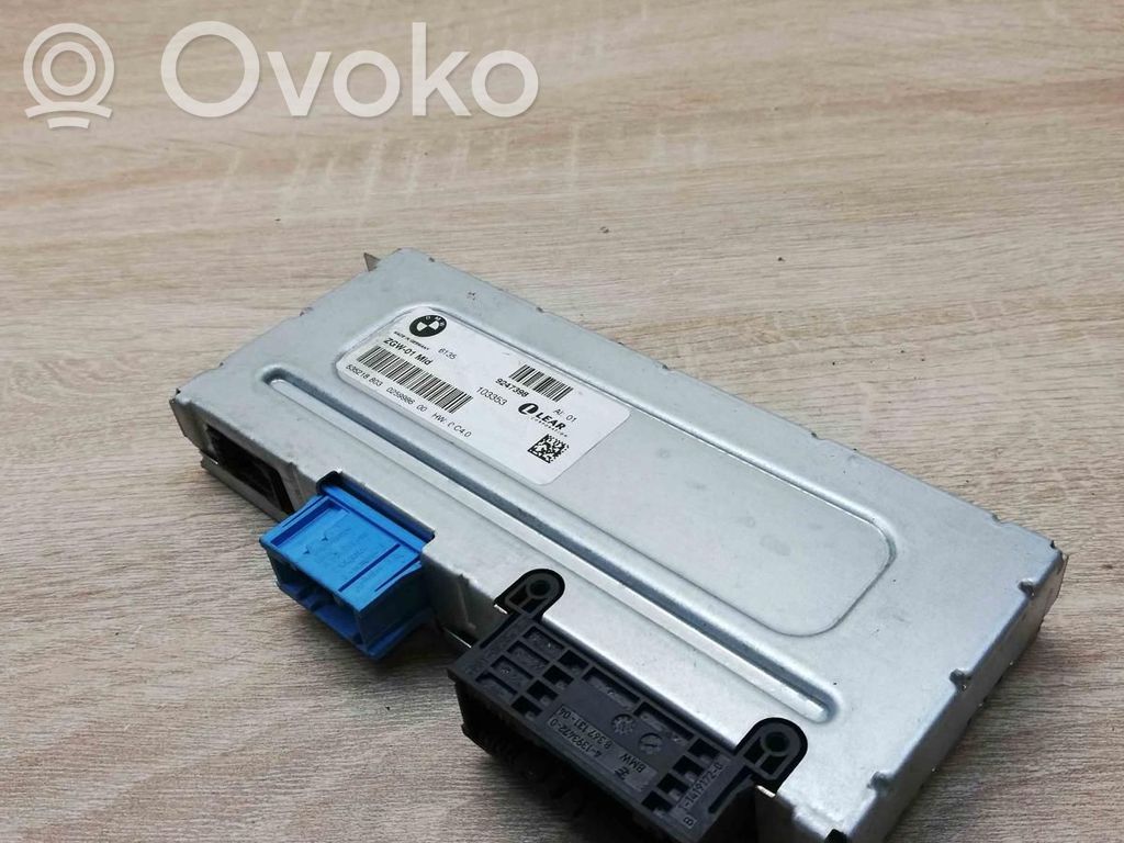 BMW 5 F10 F11 Modulo di controllo accesso 