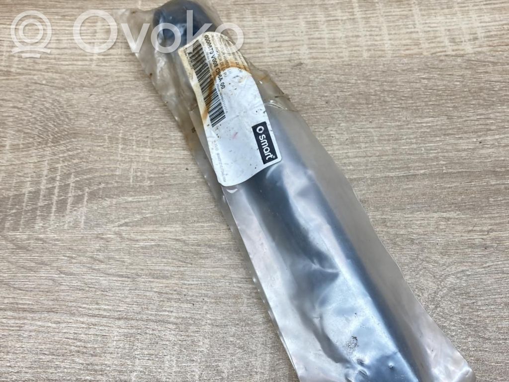 Smart ForTwo I MC01 Rivestimento della maniglia interna per portiera anteriore 