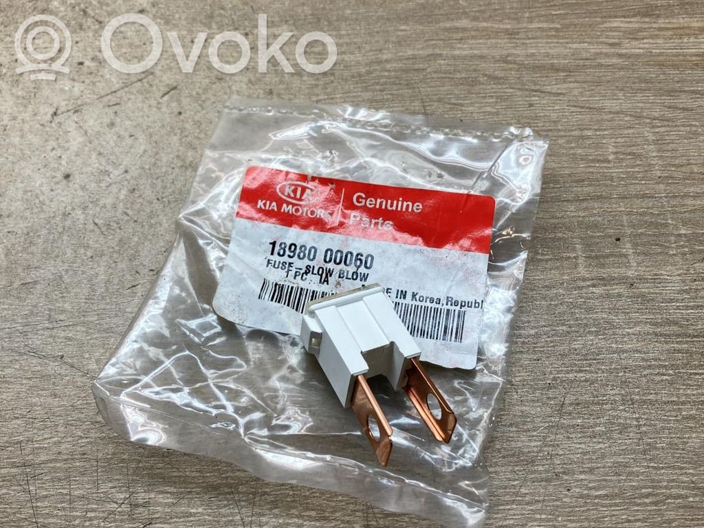 Hyundai Sonata Fusible