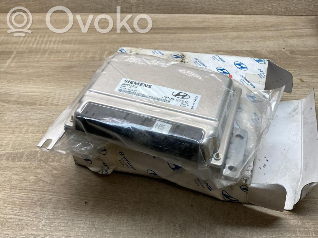 Hyundai Santa Fe Motorsteuergerät ECU 