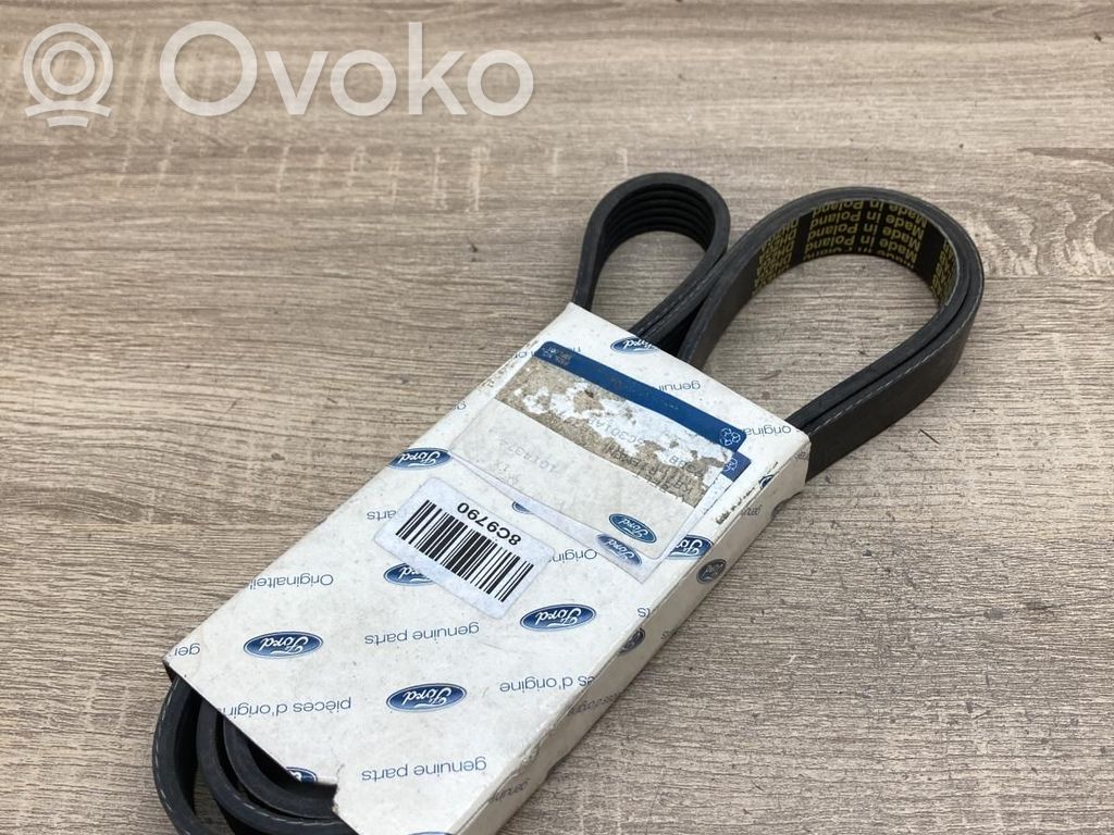 Ford Focus Correa del alternador