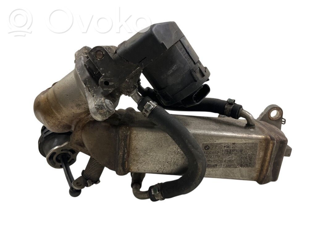 EGR aušintuvas   781016603