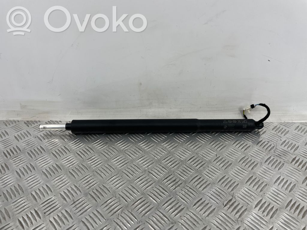 Tailgate/trunk strut/damper   5A2FBE5,F1233079,13112024