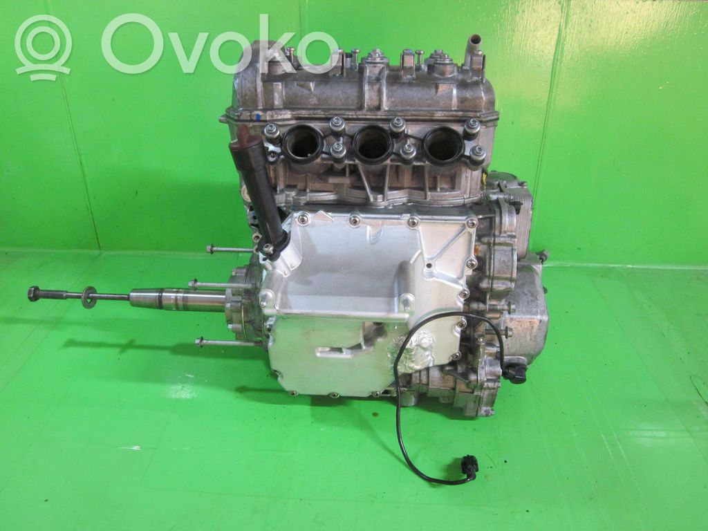 MPM Motors Erelis Motore 
