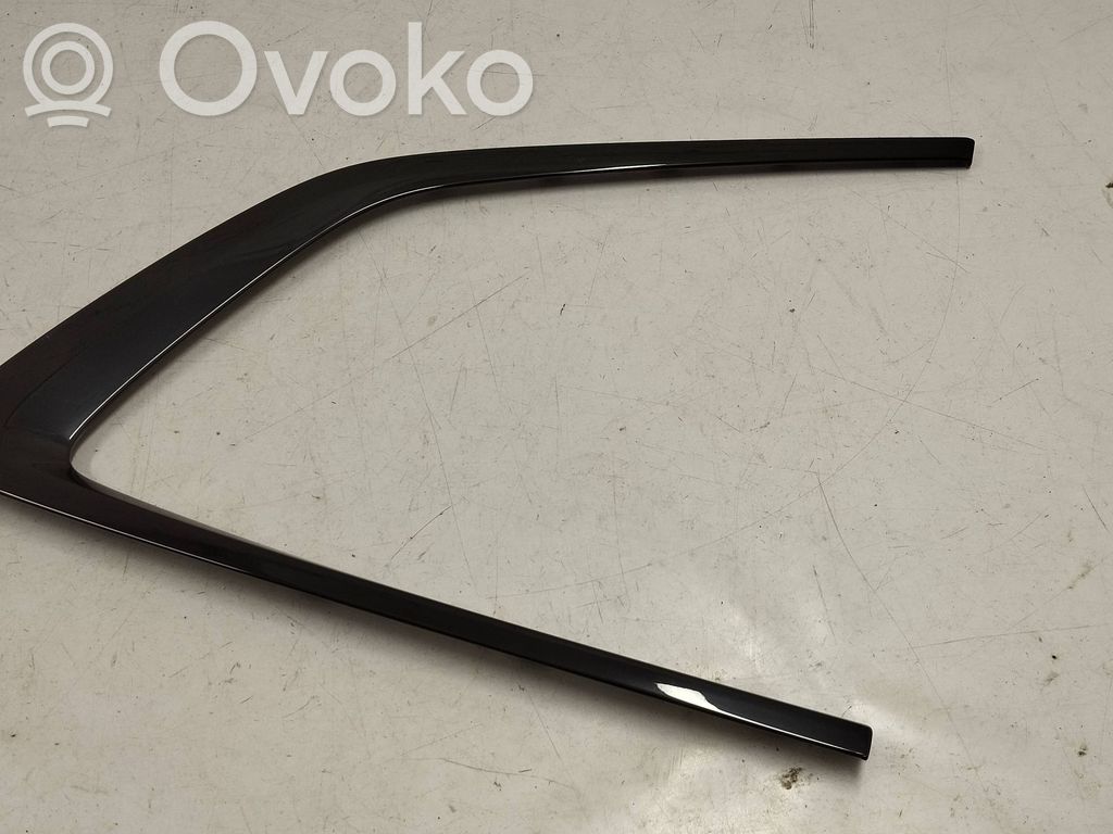 BMW X3 G01 Rear door glass trim molding 