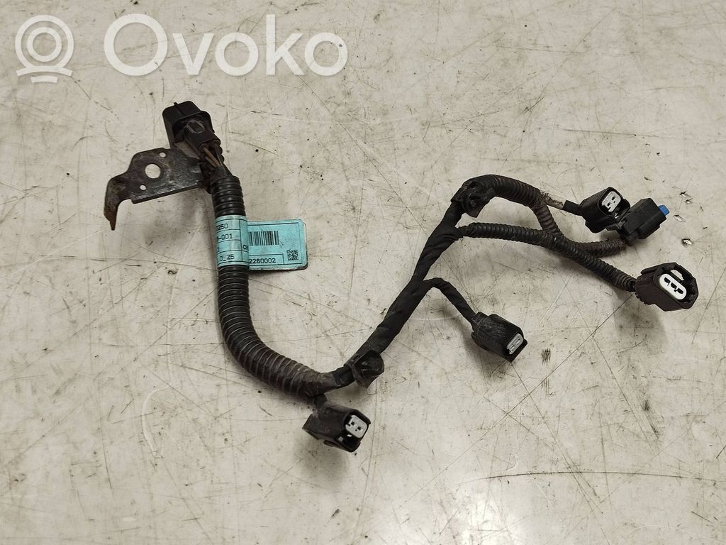 KIA Ceed Cables de los inyectores de combustible 
