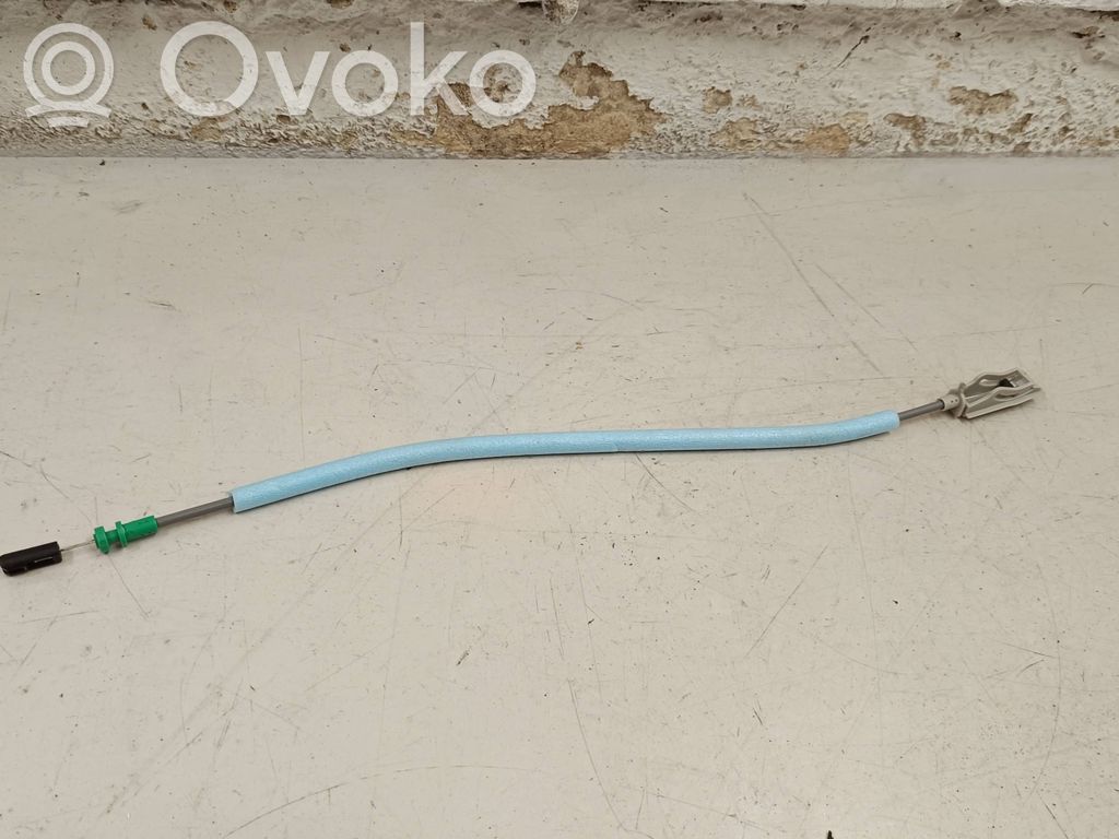 Trosīte   7409276