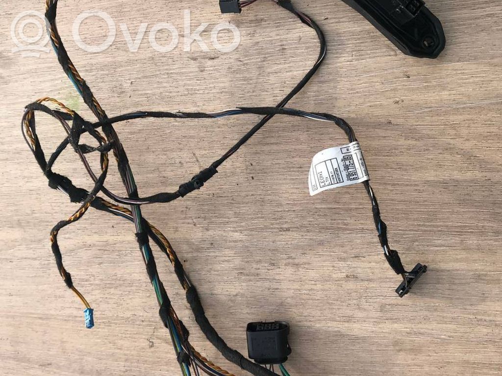 Cableado de puerta trasera   6951775,11107811,11105811,GSE34X