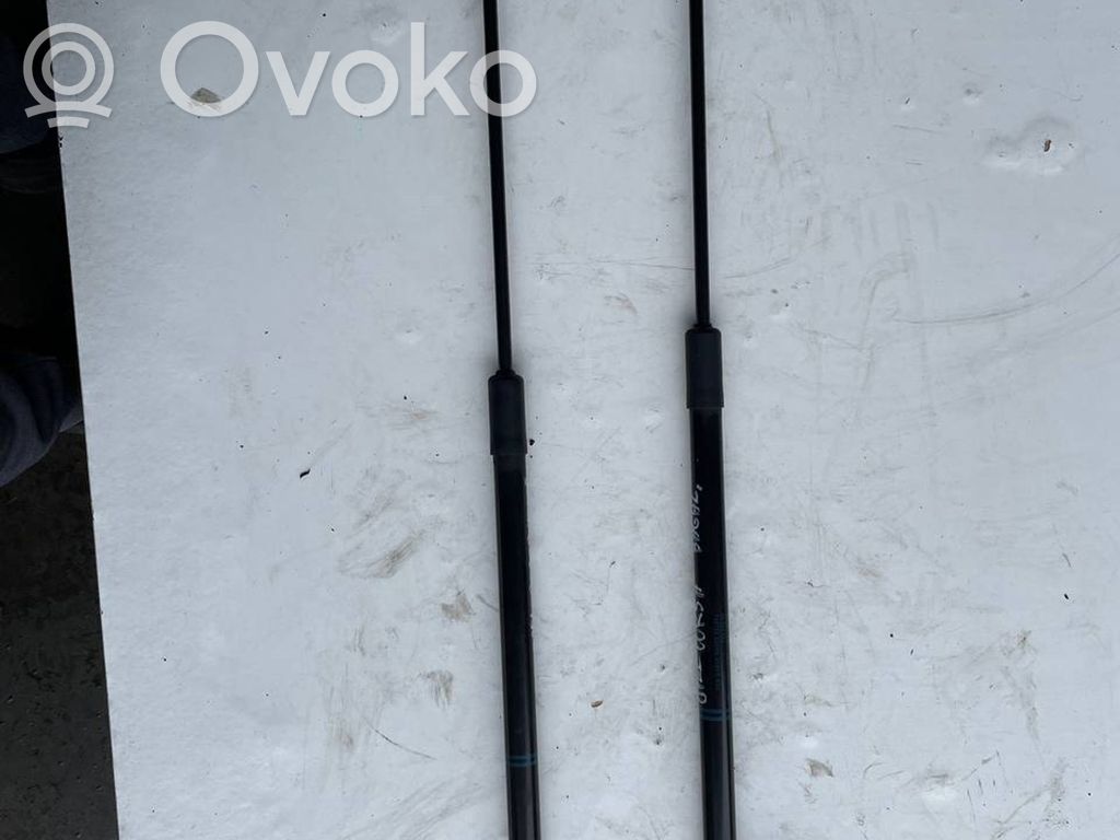 Opel Corsa E Tailgate/trunk strut/damper 