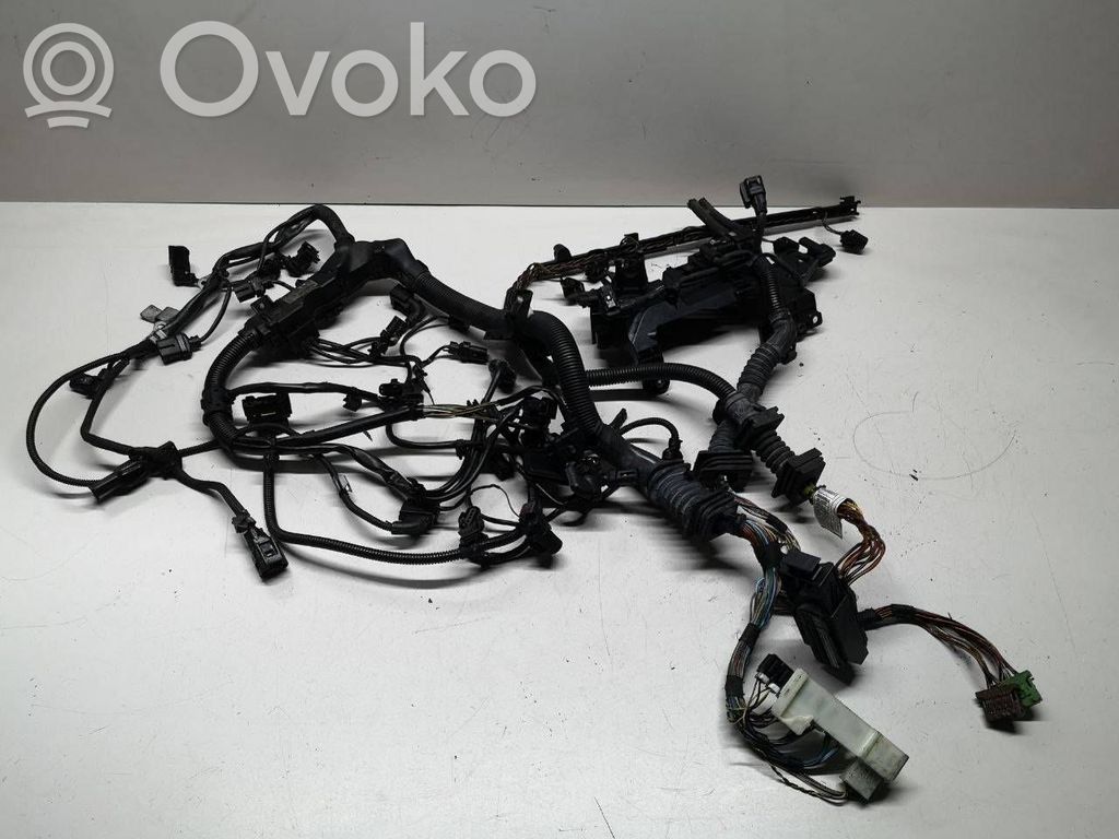 BMW X5 E70 Проводка двигателя 
