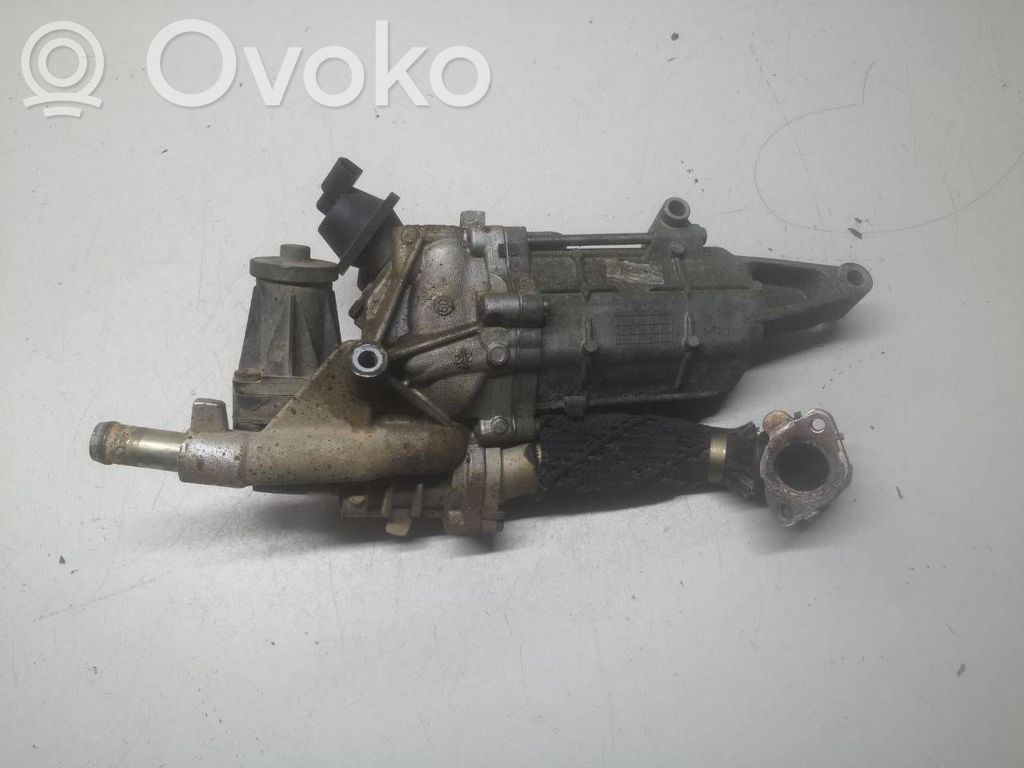 Citroen C5 EGR vārsts 