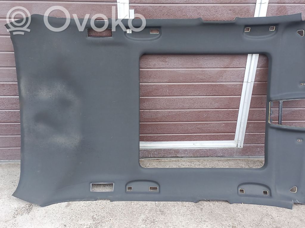 BMW X1 E84 Headlining 