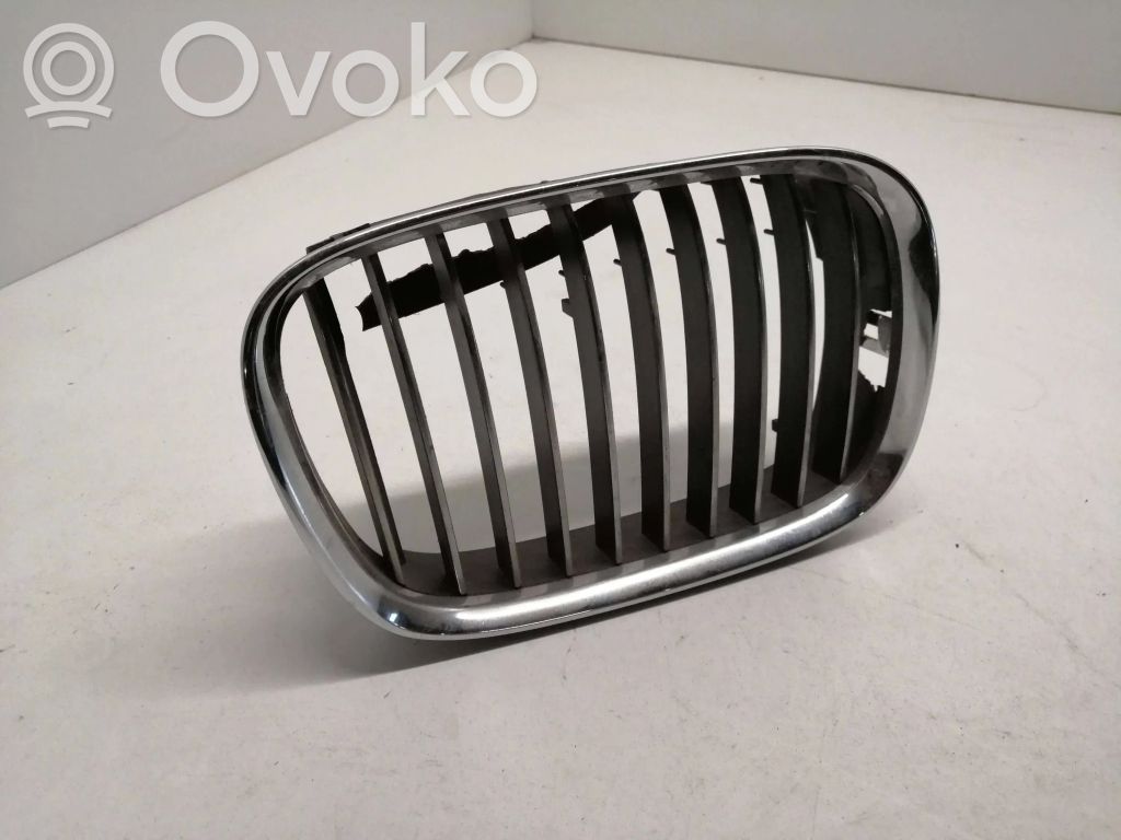 BMW 5 E39 Grotelės priekinės 