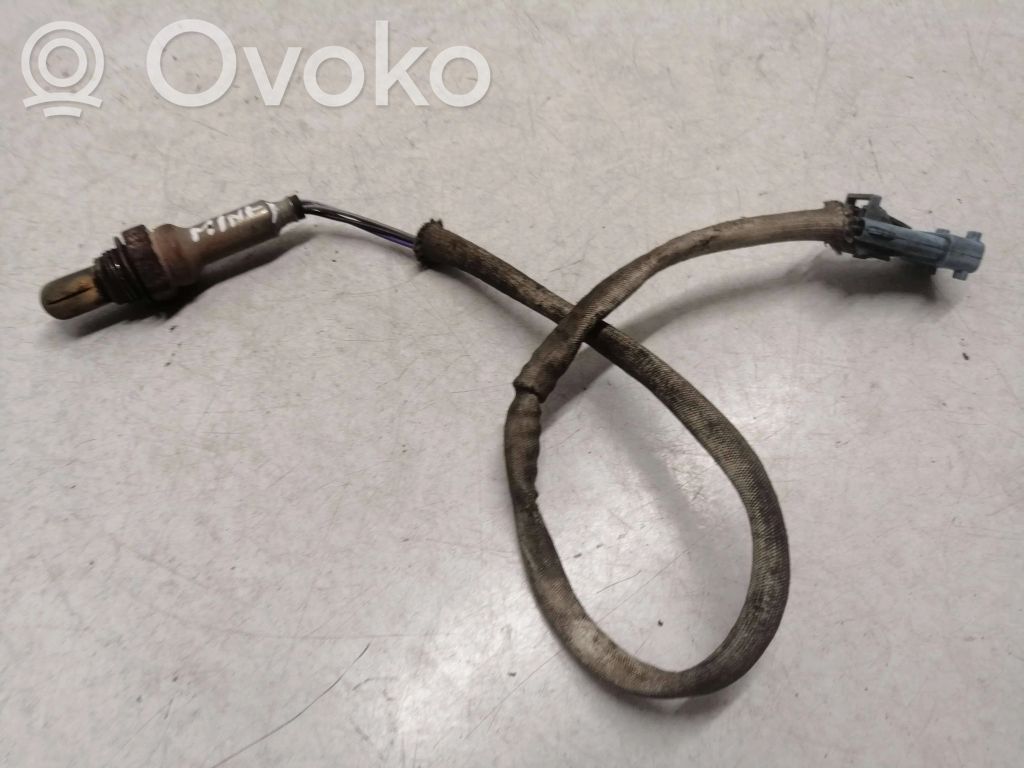 Lambda probe sensor   1850013