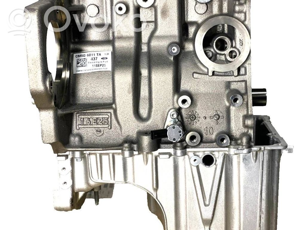 Ford Ecosport Engine block 