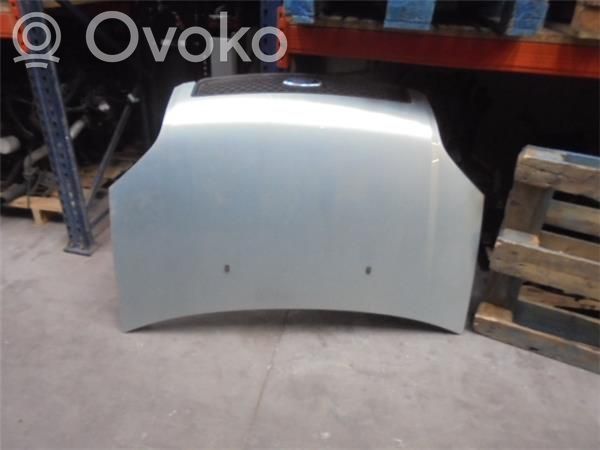 Capotă motor   1346687