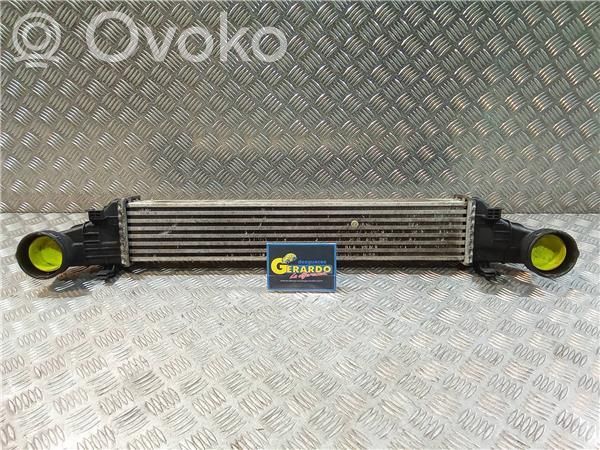 Radiatore intercooler   A2115001102