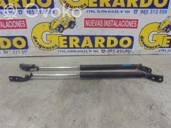 Tailgate/trunk/boot lid buffer
