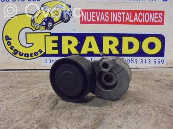 Tendicinghia generatore/alternatore