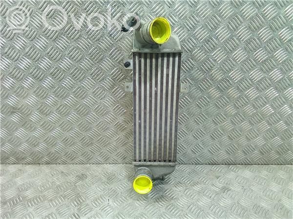 Radiador intercooler   282712A610