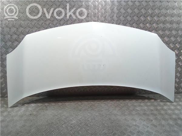Motorhaube   7751478148
