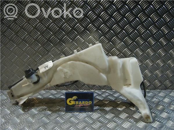 Vaschetta liquido lavafari   4M5113K163CF