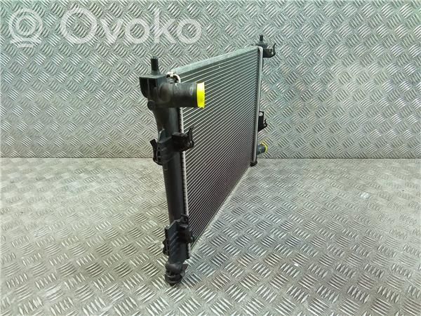 Radiator ulei motor   253101R000