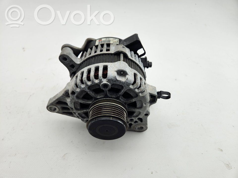 Generator/alternator   373002A910