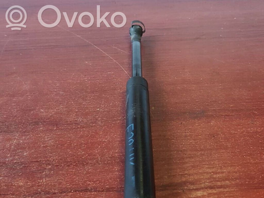 Tailgate/trunk strut/damper   8172845