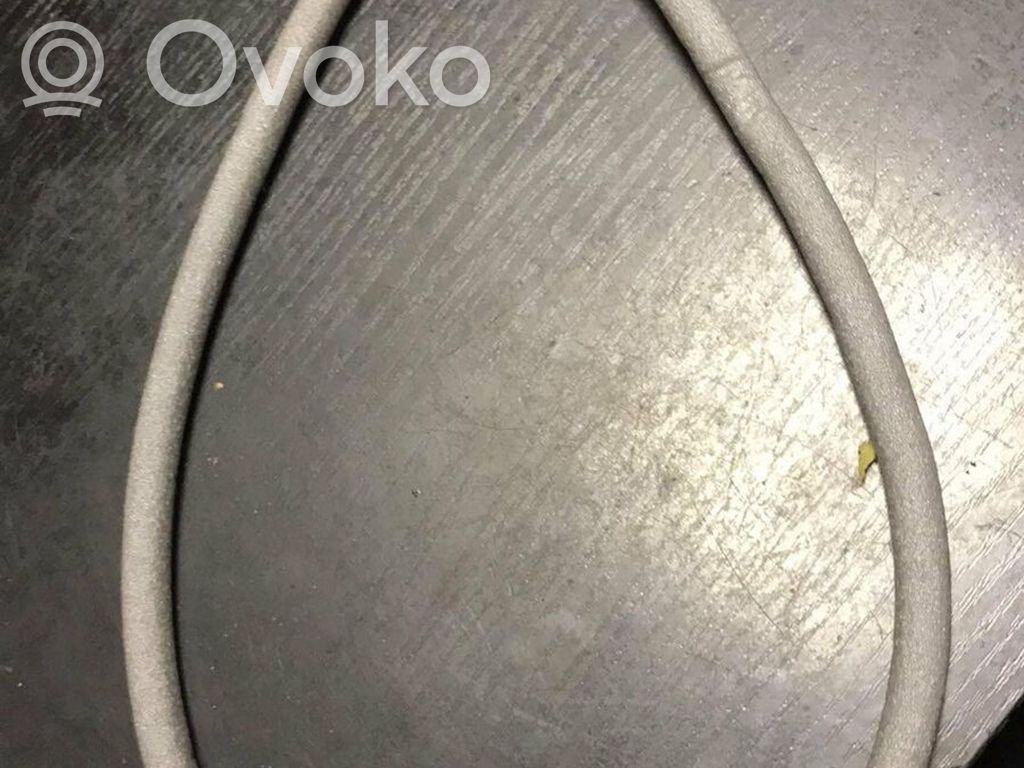 BMW 1 E81 E87 Front door cable line 