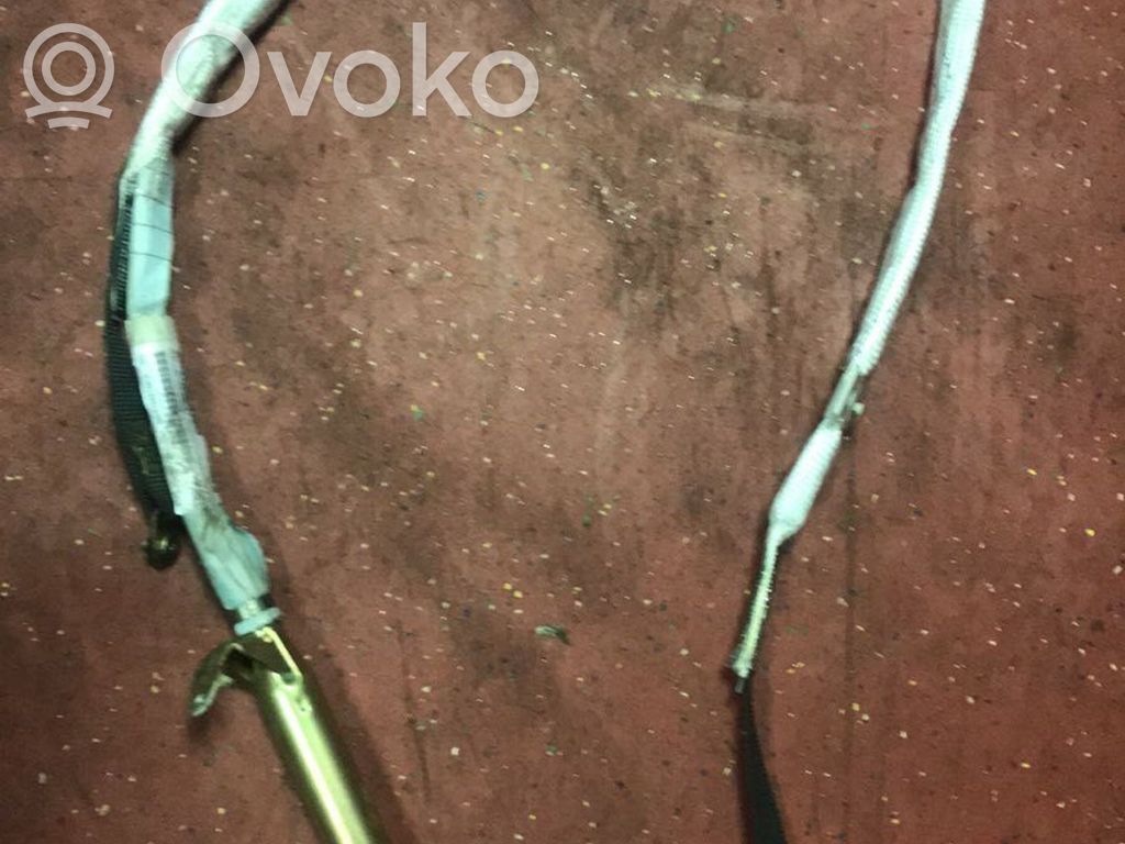 BMW 5 E39 Jumta gaisa spilvens 
