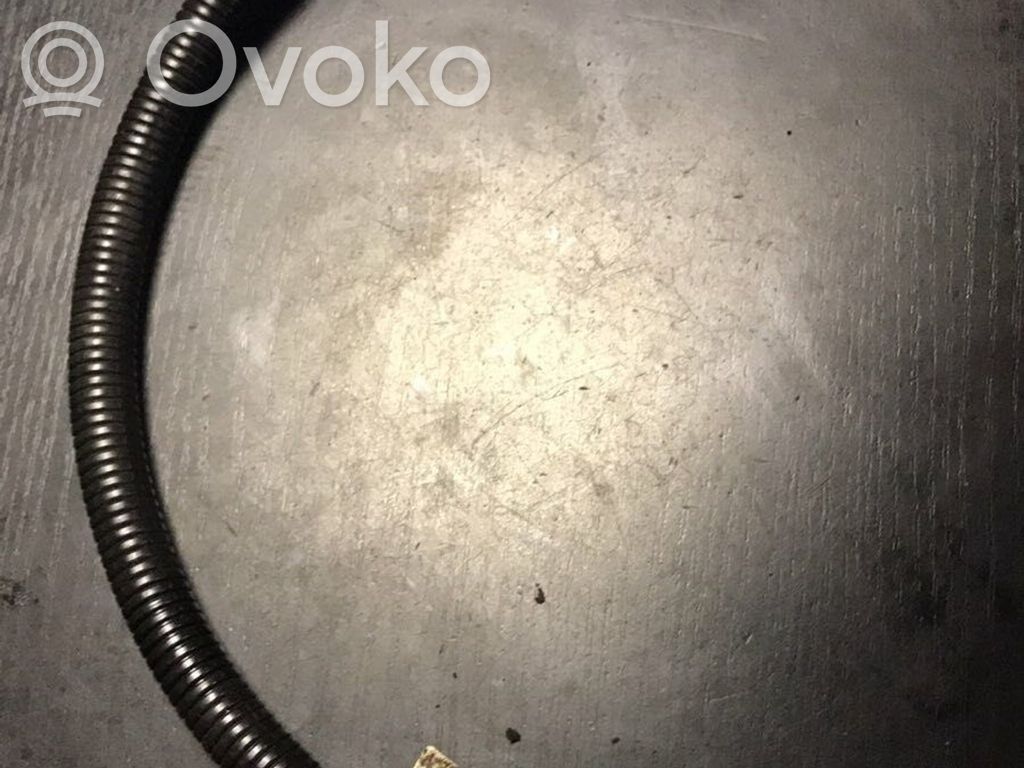 BMW 3 E46 Wires (generator/alternator) 