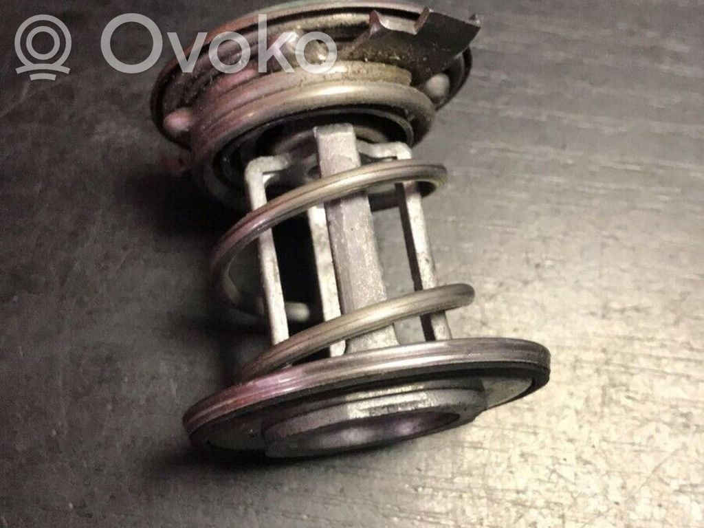 BMW 5 E39 Termostatas/ termostato korpusas 