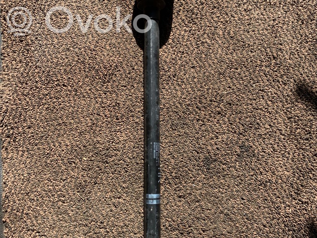 Ogranicznik drzwi tylnych   7063830,51227063830