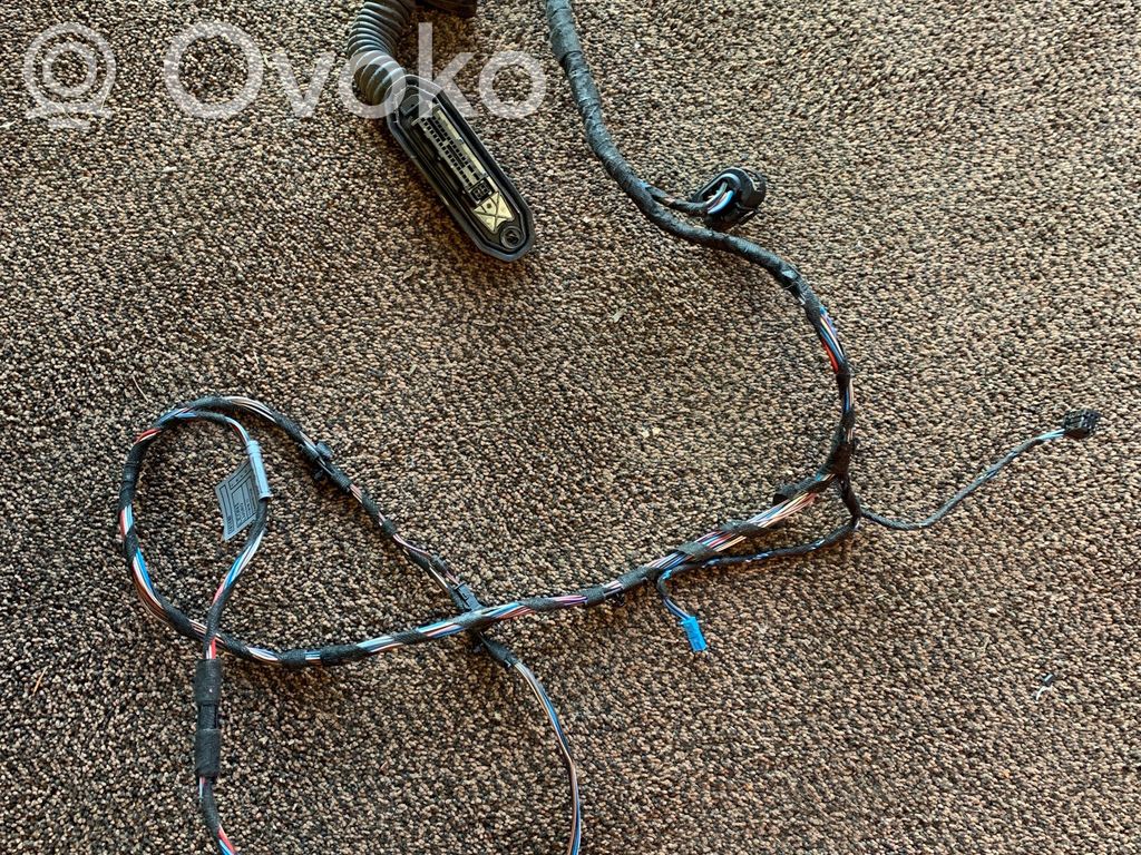 Cableado de puerta delantera   9118102