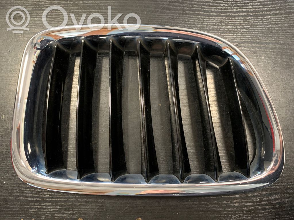 Front grill   2993308