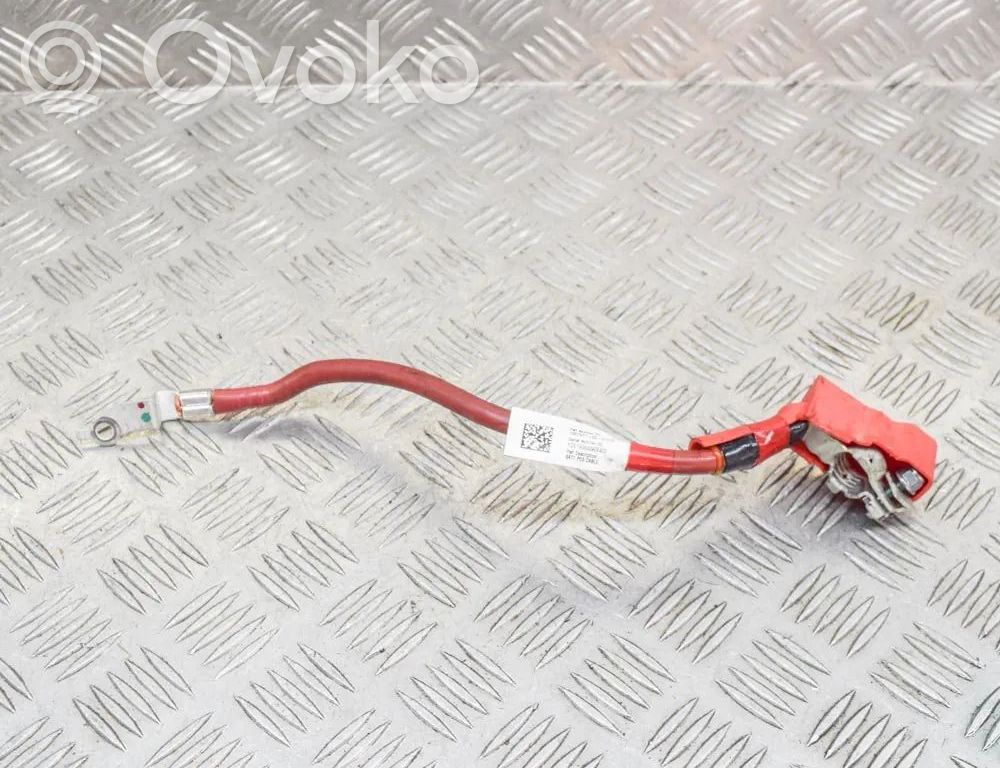 Pluskaapeli (akku)   106797100D
