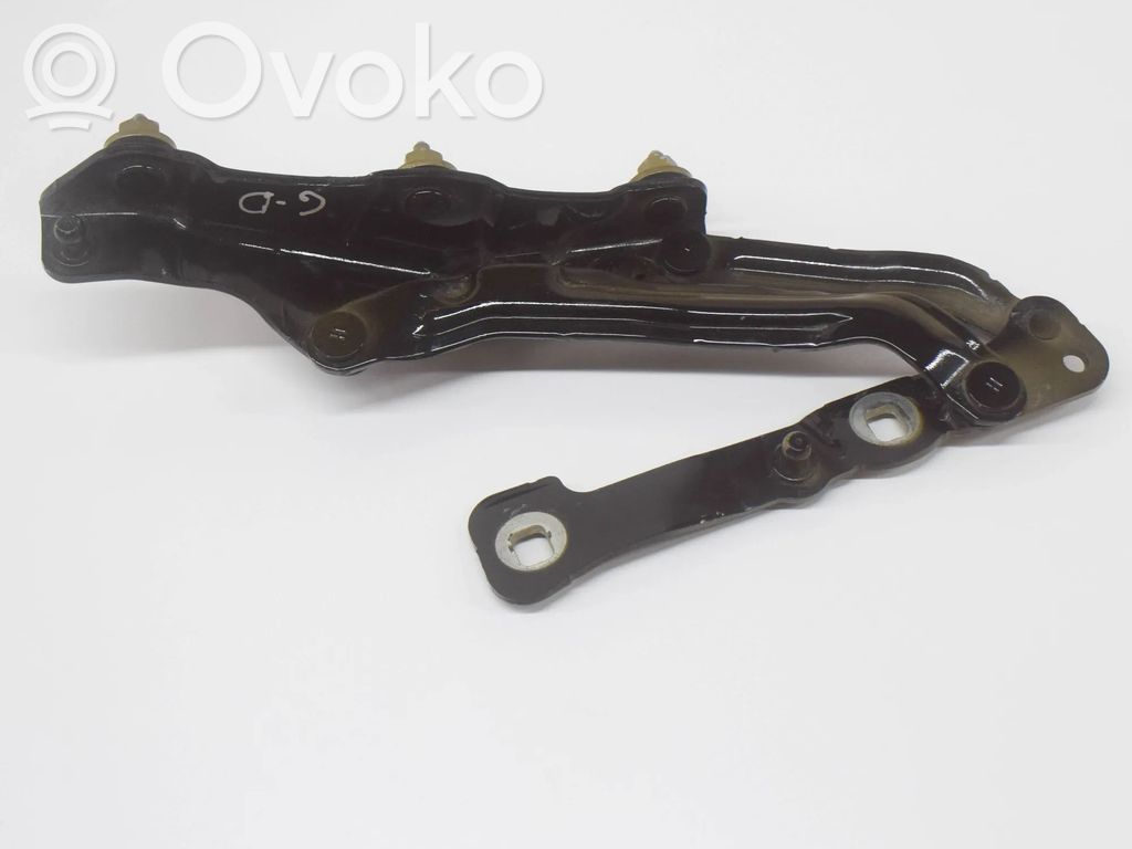 Tailgate/trunk/boot hinge