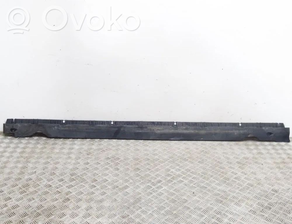 Tesla Model Y Slenkstis 