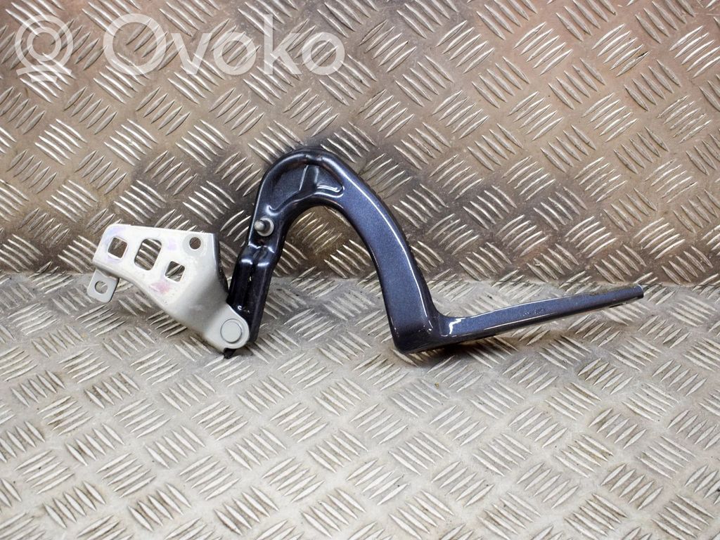Tesla Model Y Vyris (-iai) variklio dangčio 