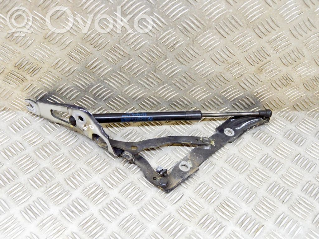 BMW 2 F22 F23 Cerniera portellone posteriore/bagagliaio 