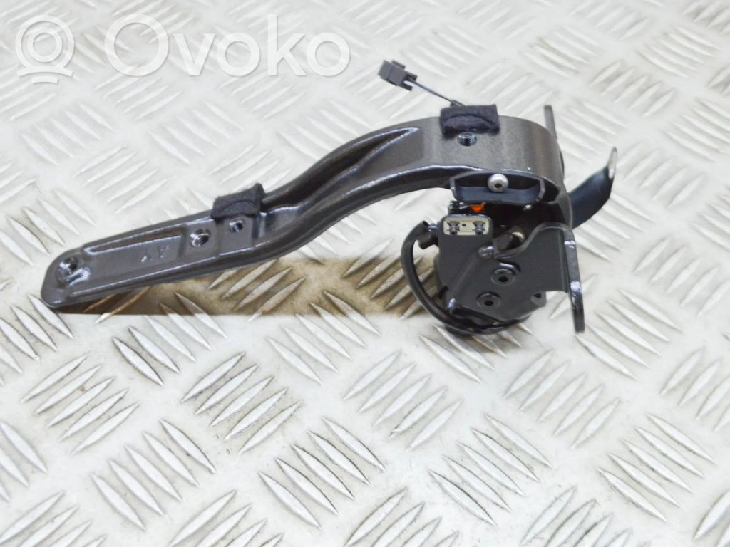 Tailgate/trunk/boot hinge   7296773