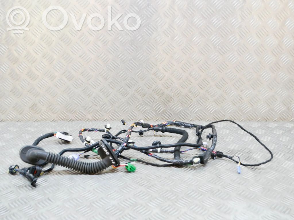 Cableado de puerta delantera   306795702C