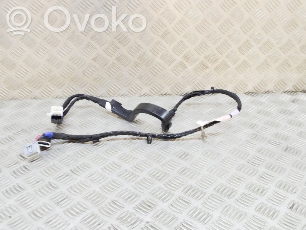 Cableado de puerta trasera   106340500G